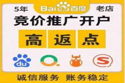 专业网站SEM托管服务案例展示